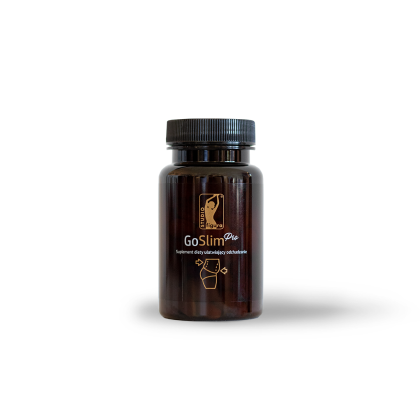 GO Slim PRO Studio Figura Miasto
